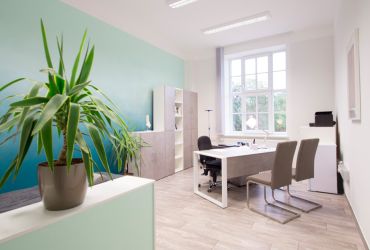 Praxis_Naturheilkunde_Osteopathie_Merseburg3.jpg