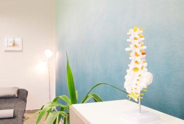 Praxis_Naturheilkunde_Osteopathie_Merseburg.jpg